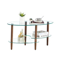 Oval Glass Coffee Table