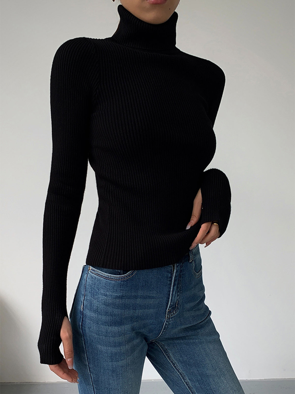 Sleek Fit Turtleneck Slim Knit Top