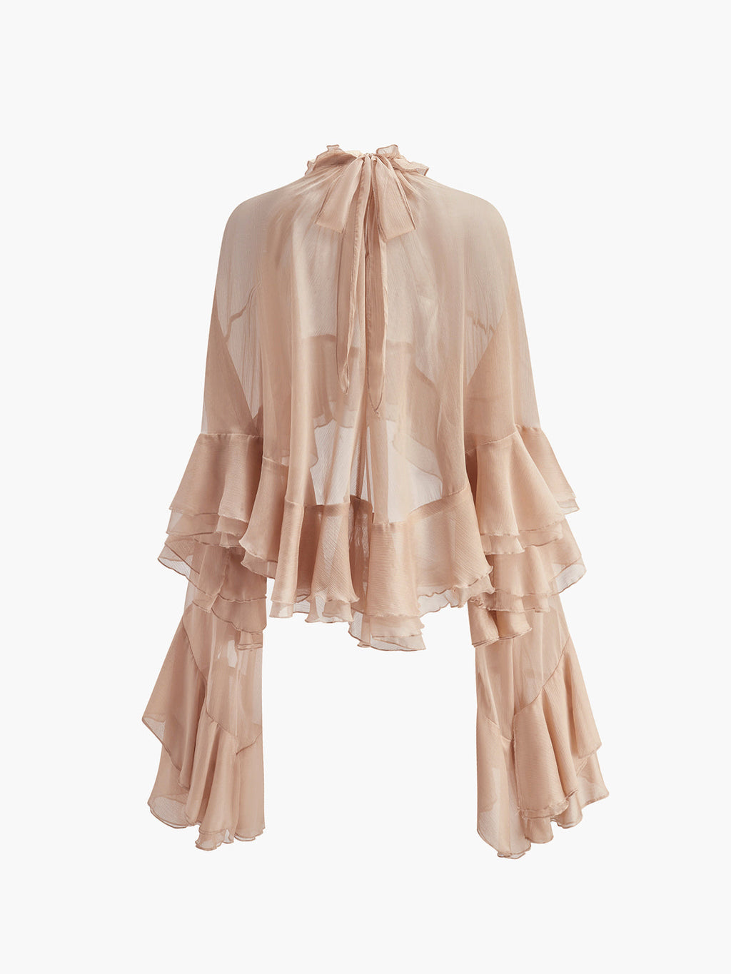 Cloud Nine Sheer Turtleneck Ruffle Long Sleeve Blouse