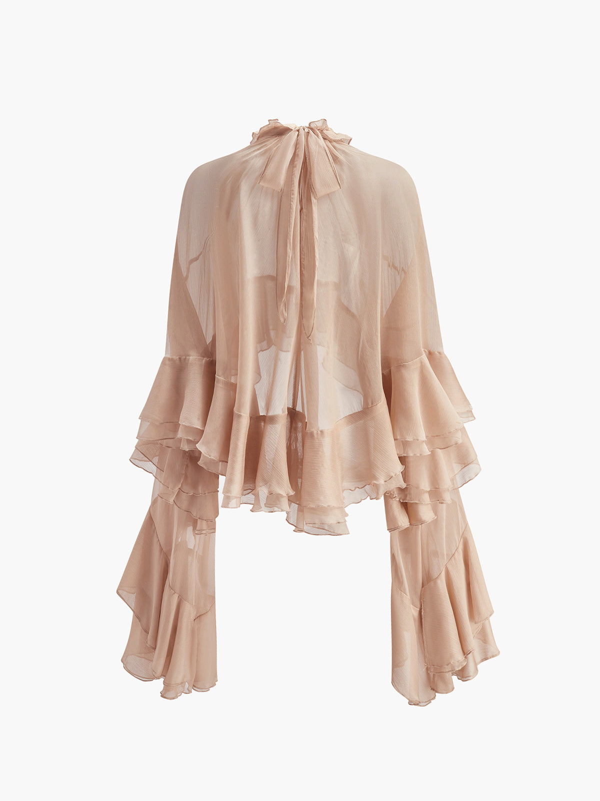 Cloud Nine Sheer Turtleneck Ruffle Long Sleeve Blouse