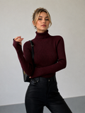 Sleek Fit Turtleneck Slim Knit Top