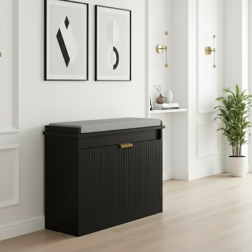 Black Shoe Cabinet Solid Bottom Fixed