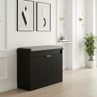 Black Shoe Cabinet Solid Bottom Fixed