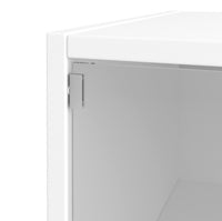 Bose Transparent Shoe Cabinet