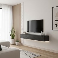 Minimalist Scandinavian Living Room