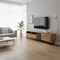 Modern Minimalist Living Room