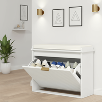 Shoe Cabinet in Modern Hallway