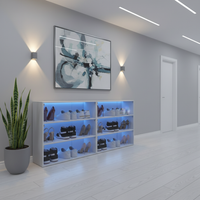Side by Side LED Shoe Cabinets