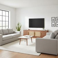 Two Facing Sofas Centered