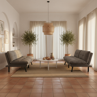 Two Sofas Conversational Layout