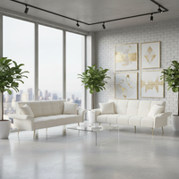 Two Sofas Facing - Clean