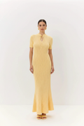 Yellow Shot 1
